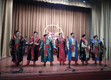 Концерт пісенно-танцювального ансамблю "Полтава" (с. Вишняки)