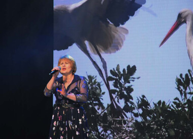 Пісні Перемоги. Рік Незламності